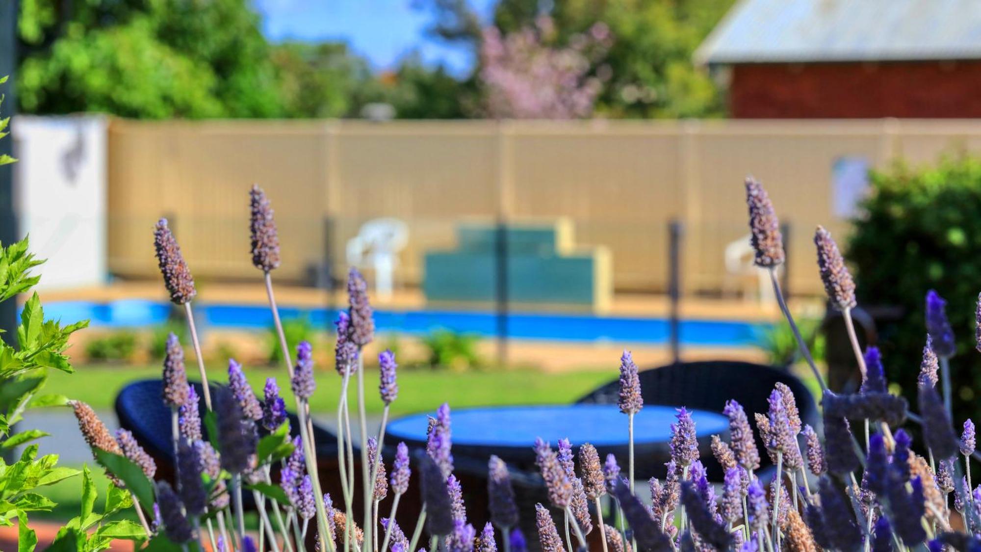 Oasis Motel Peak Hill Bagian luar foto